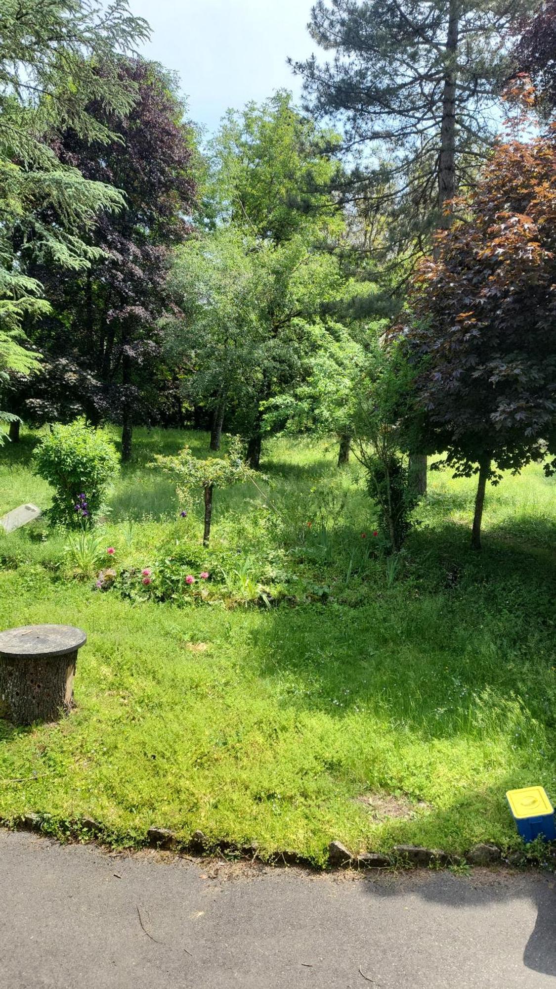 Goutanou 3 Chatillon-en-Michaille